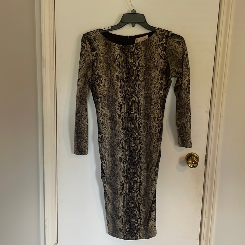 Sneak print dress. It fits very nicely to the body